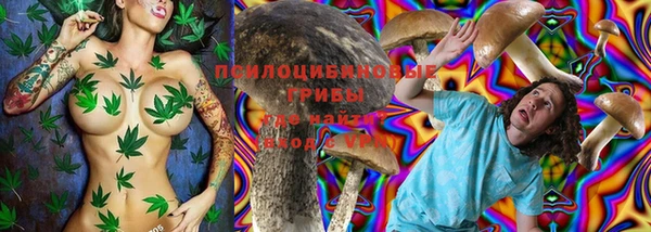 не бодяженный Аркадак