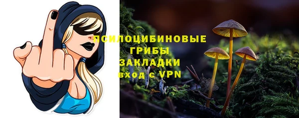 не бодяженный Аркадак