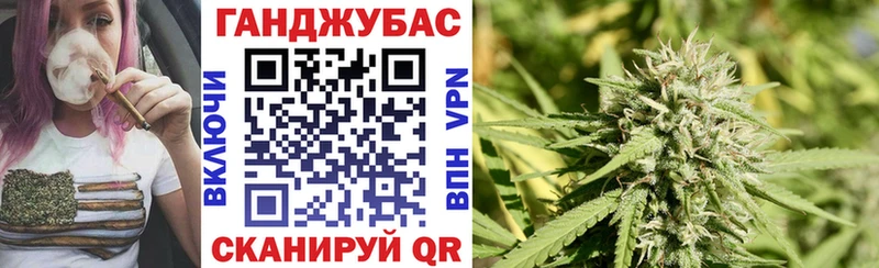 Каннабис сатива купить Полярный